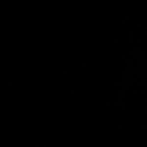 Meet your Posher, Nora